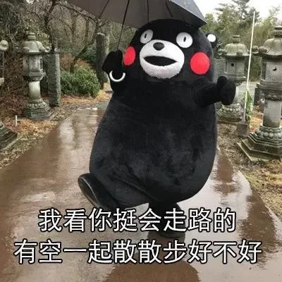 我看你挺会走路的有空一起散散步好不好