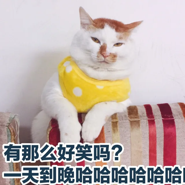 有那么好笑吗?一天到晚哈哈哈哈哈哈