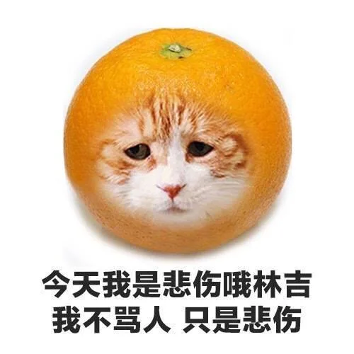 今天我是悲伤哦林吉我不骂人只是悲伤（今天我是悲伤哦林吉我不骂人只是悲伤）