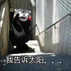 我告诉太阳。。。