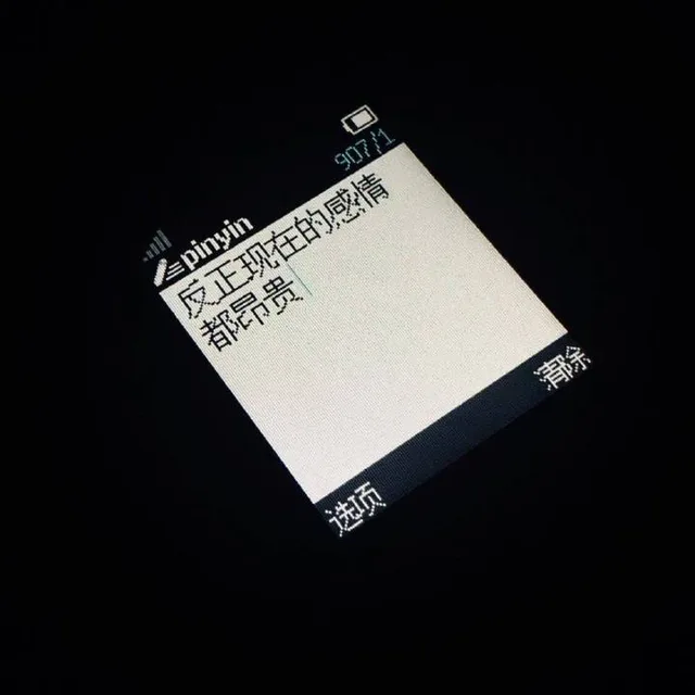反正现在的感情都昂贵（反正现在的感情都昂贵）