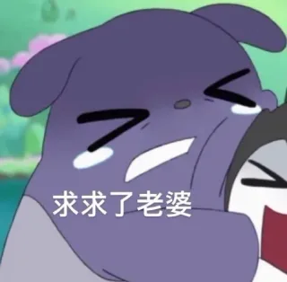 求求了老婆