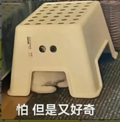 怕但是又好奇（怕但是又好奇）