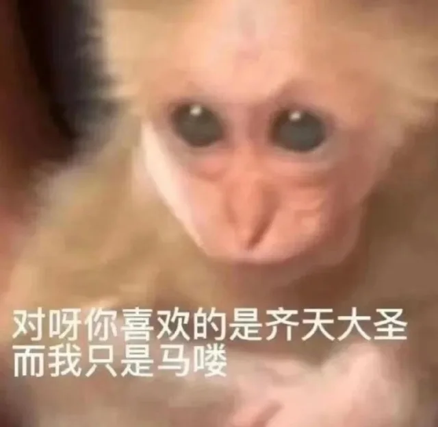 对呀你喜欢的是齐天大圣而我只是马喽（对呀你喜欢的是齐天大圣而我只是马喽）