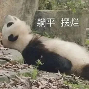躺平摆烂