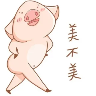 美不美