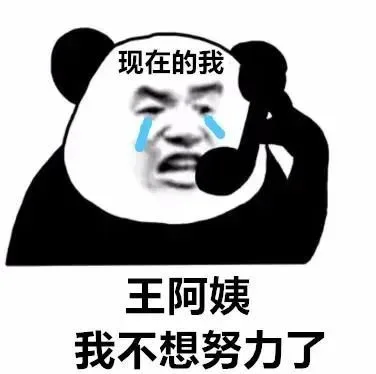 现在的我王阿姨我不想努力了（现在的我王阿姨我不想努力了）