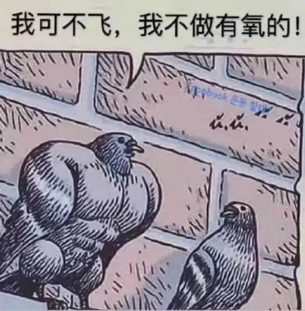 我可不飞，我不做有氧的！F9book是医（我可不飞，我不做有氧的！F9book是医）