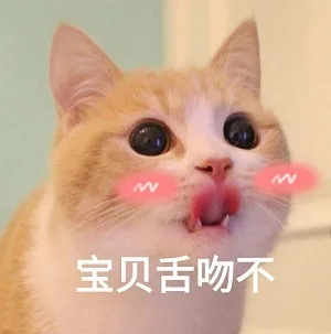 宝贝舌吻不（宝贝舌吻不）
