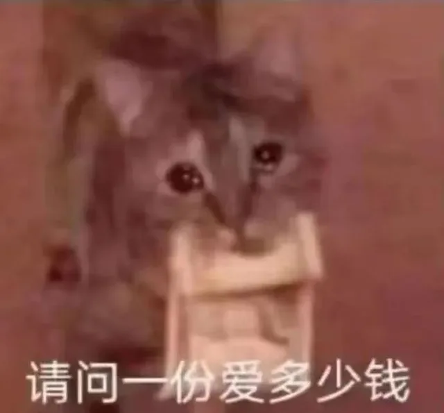 请问一份爱多少钱（请问一份爱多少钱）