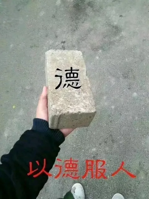 以德服人（板砖）（以德服人（板砖））
