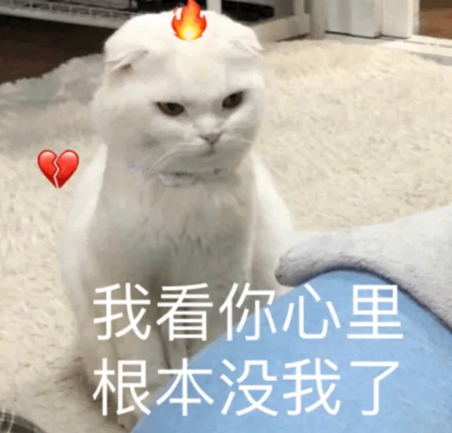 我看你心里根本没我了