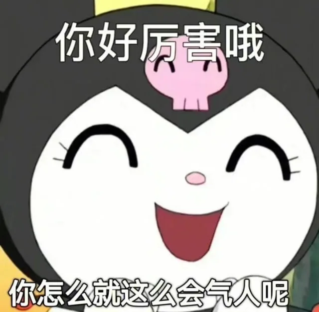 你好厉害哦你怎么就这么会气人呢（你好厉害哦你怎么就这么会气人呢）