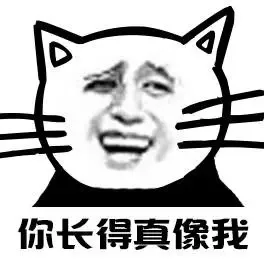 你长得真像我