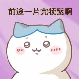 前途一片完犊紫啊（前途一片完犊紫啊）