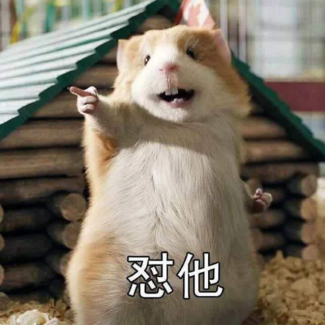 站立小老鼠：怼他_老鼠_斗图_怼人表情表情包