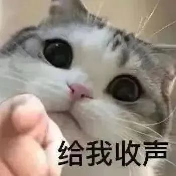 给我收声（给我收声）