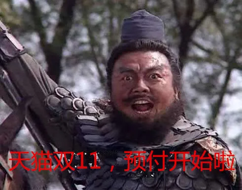 天猫双11 预付开始啦（张飞）
