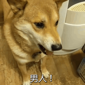 男人！ 给我滚！_狗子