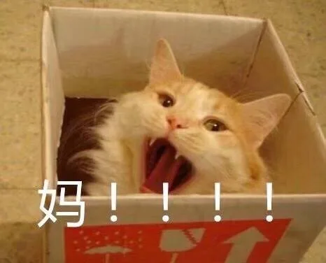 妈！！！（喵星人）（妈！！！（喵星人））