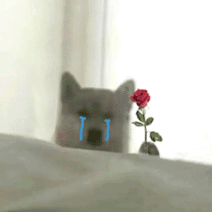 老婆 我错了