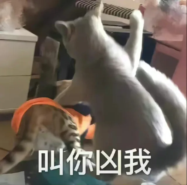 叫你凶我（叫你凶我）