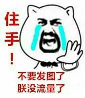 住手！不要发图了，朕没流量了！（住手！不要发图了，朕没流量了！）