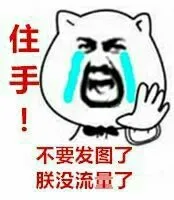 住手！不要发图了，朕没流量了！