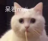 呆若muj（呆若muj）