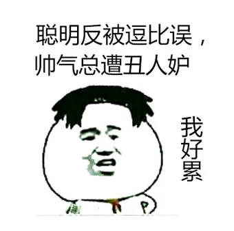 聪明反被逗比误，帅气总遭丑人妒，我好累