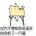 对方不想和你说话并向你扔了一只猫
