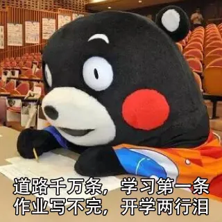 道路千万条，学习第一条，作业写不完，开学两行泪