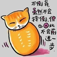 不倒翁，虽然不会摔倒，但也因此不会前进一步