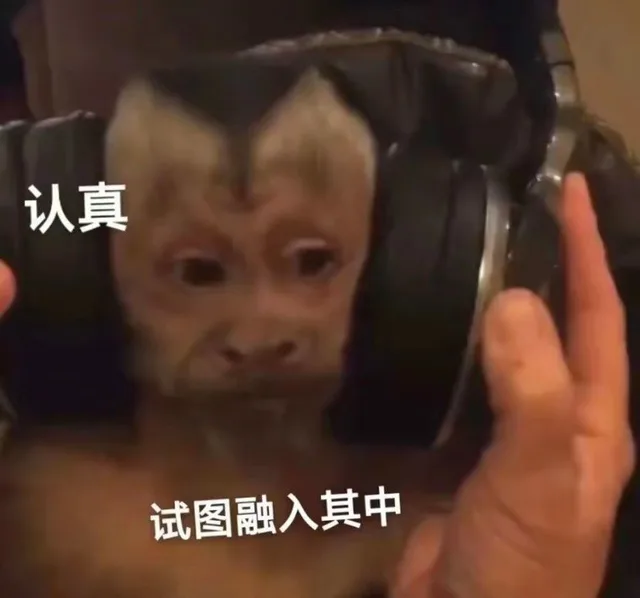 认真试图融入其中（认真试图融入其中）