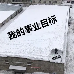 我的事业目标 VS 实际的（我的事业目标 VS 实际的）