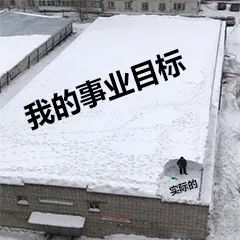 我的事业目标 VS 实际的