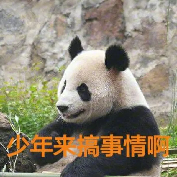 少年来搞事情啊