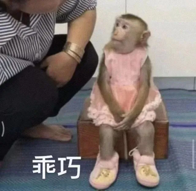 乖巧（乖巧）