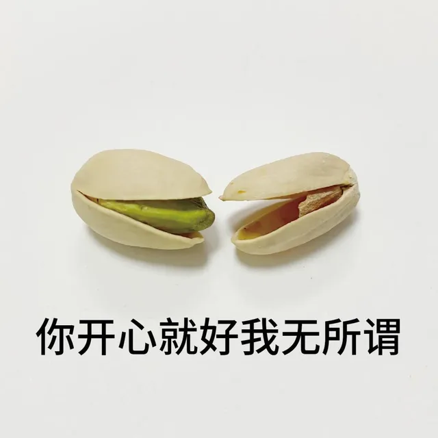 开心果表情
