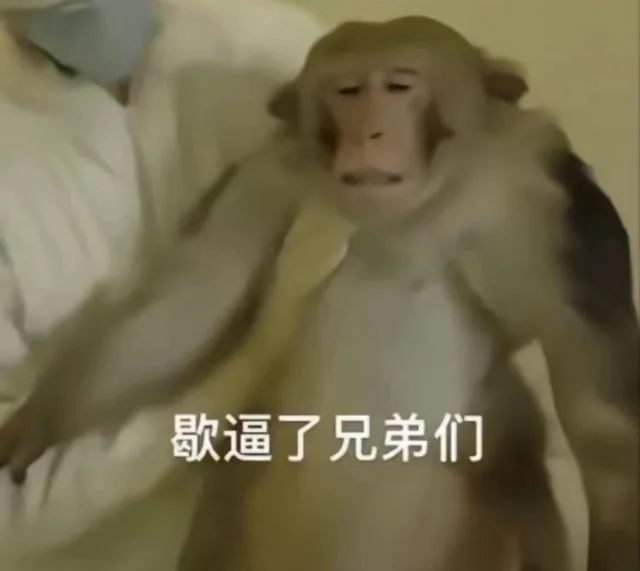 歇逼了兄弟们(吗喽表情包)（歇逼了兄弟们(吗喽表情包)）