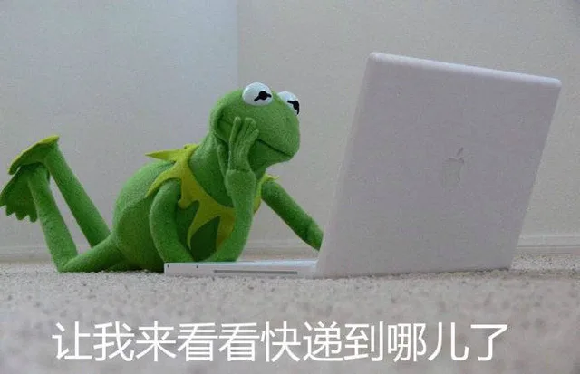 让我来看看快递到哪儿了（让我来看看快递到哪儿了）