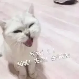 老公！！！和谁！去哪！去干嘛！