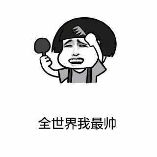 全世界我最帅