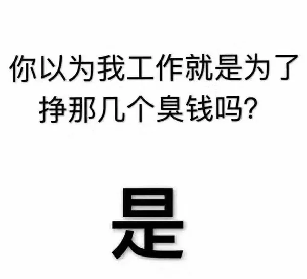 你以为我工作就是为了挣那几个臭钱吗?（你以为我工作就是为了挣那几个臭钱吗?）
