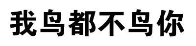 我鸟都不鸟你