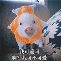 猪猪表情包系列