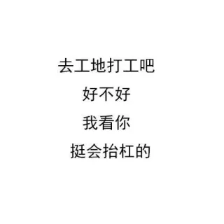 去工地打工吧好不好我看你挺会抬杠的