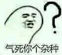 气死你个杂种？
