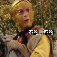 不约不约（不约不约）