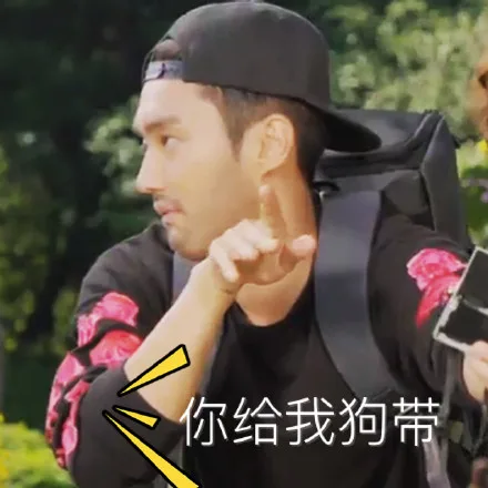 你给我狗带（你给我狗带）